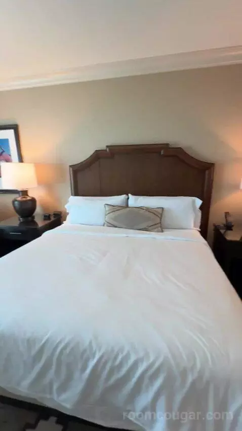 Classic Deluxe Room 1 King Bed bed picture #12