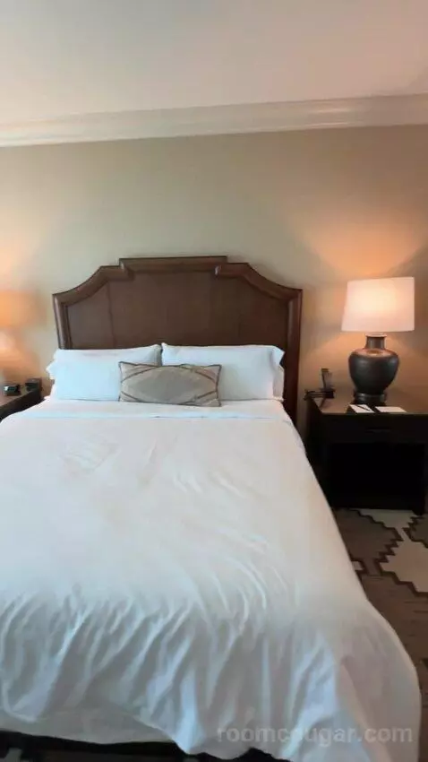 Classic Deluxe Room 1 King Bed picture #19
