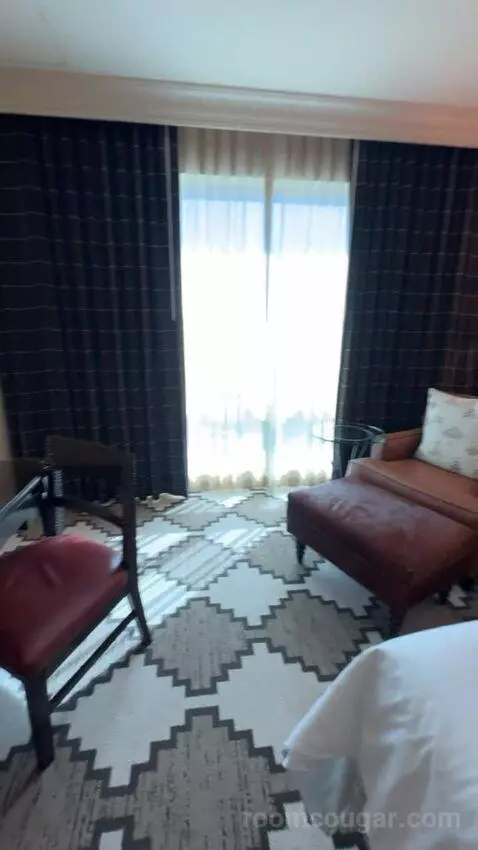 Classic Deluxe Room 1 King Bed picture #20