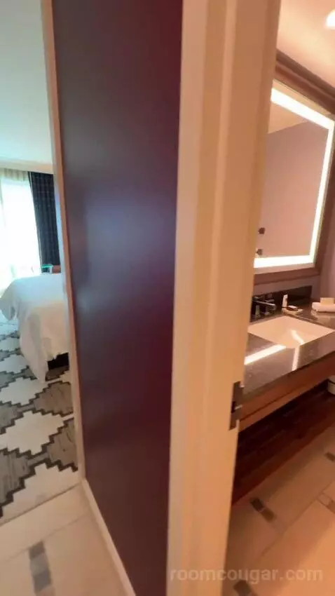 Classic Deluxe Room 1 King Bed bathroom picture #1