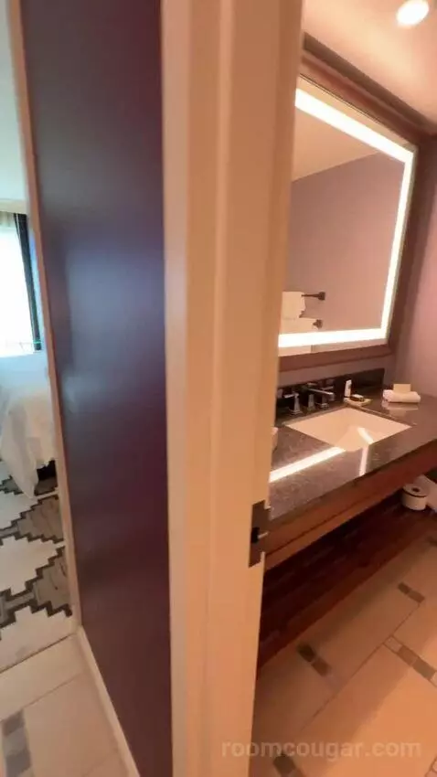 Classic Deluxe Room 1 King Bed bathroom picture #2