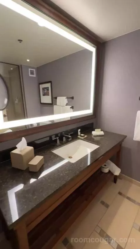 Classic Deluxe Room 1 King Bed bathroom picture #3