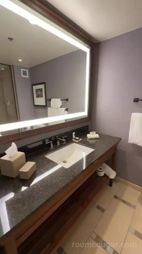 Classic Deluxe Room 1 King Bed bathroom picture #4