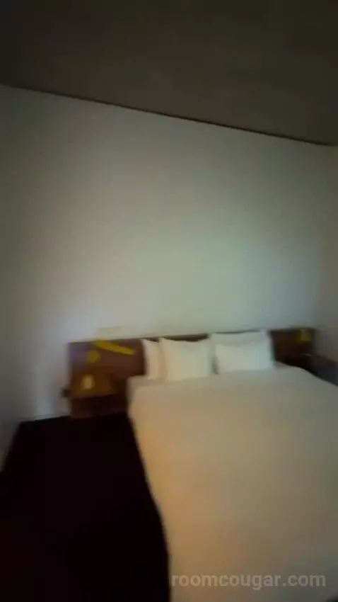 Spring Suite bed picture #7