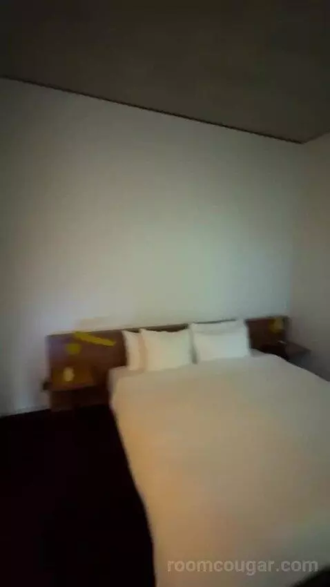 Spring Suite bed picture #8