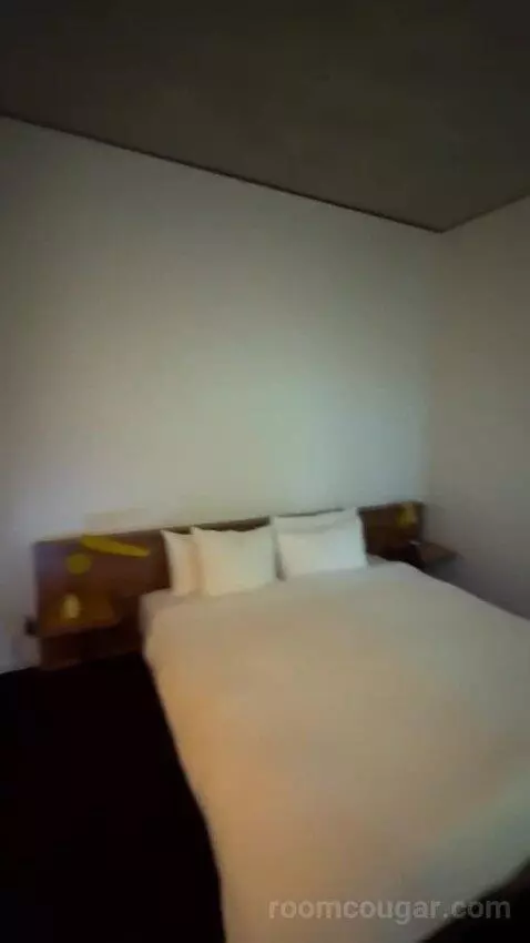 Spring Suite bed picture #9