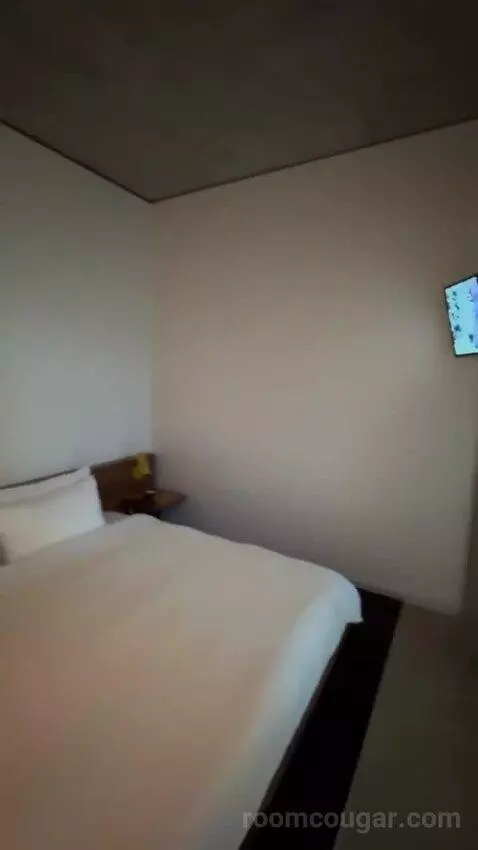 Spring Suite bed picture #10