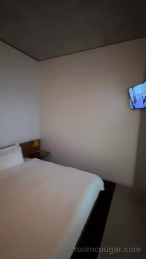 Spring Suite bed picture #11