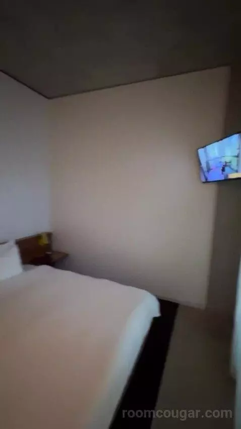 Spring Suite bed picture #12