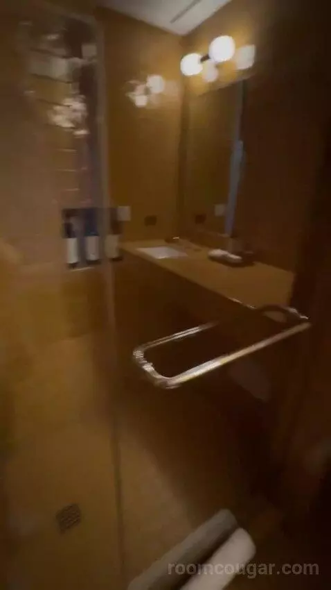 Spring Suite bathroom picture #2