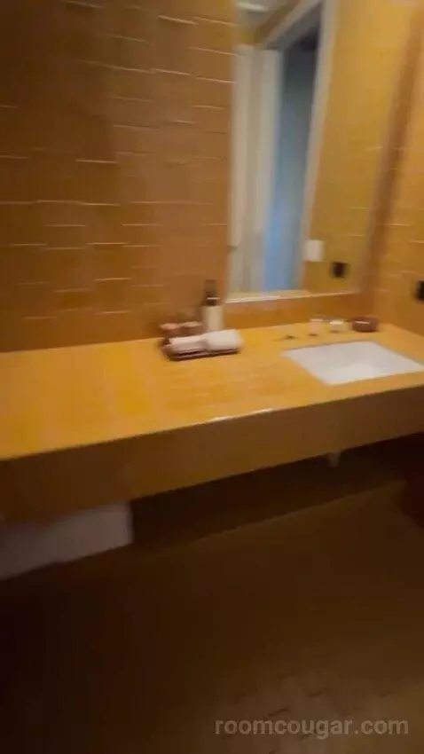 Spring Suite bathroom picture #7