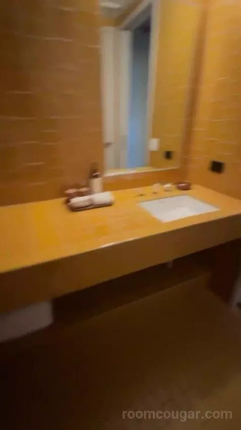 Spring Suite bathroom picture #8