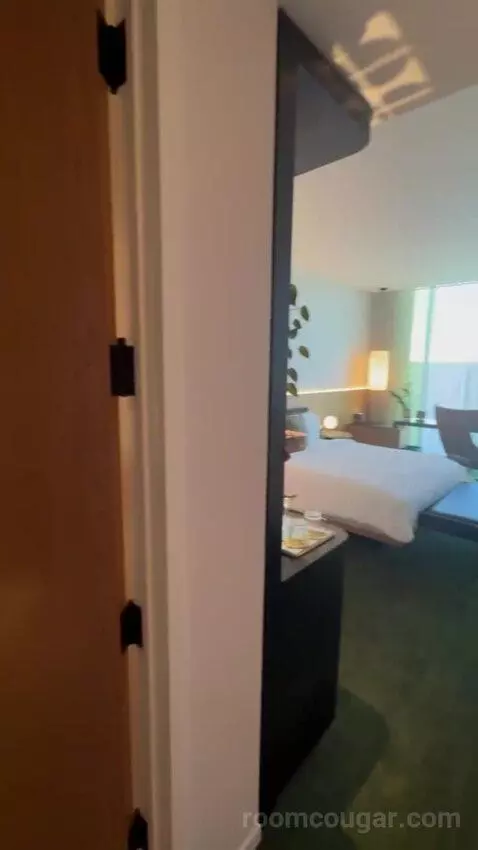 City View King bed picture #5
