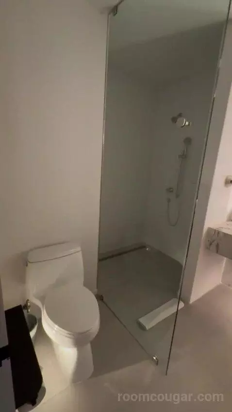 City View King bathroom picture #4