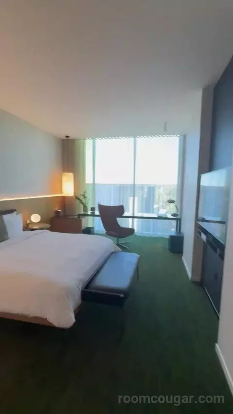City View King bed picture #7