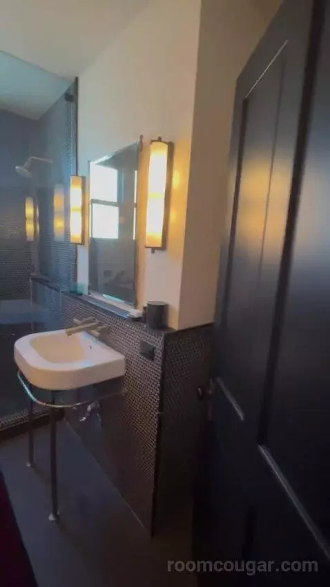 Suite 4 (#4) bathroom picture #6