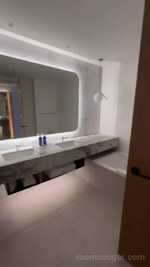 Suite with Lake View bathroom picture #2
