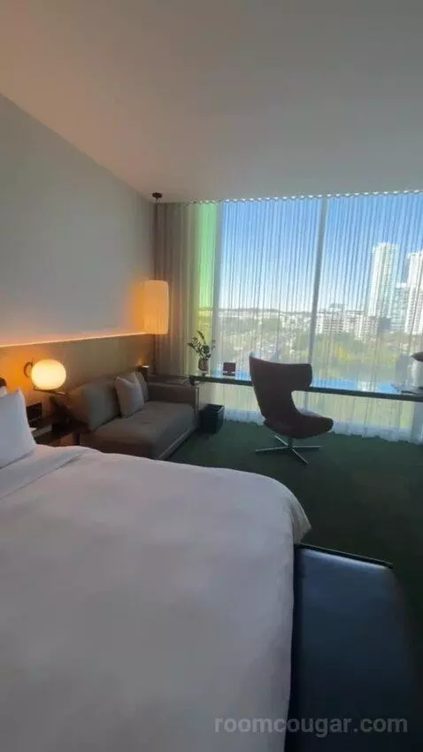Suite with Lake View view picture #7