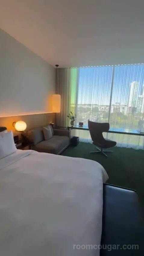 Suite with Lake View view picture #8