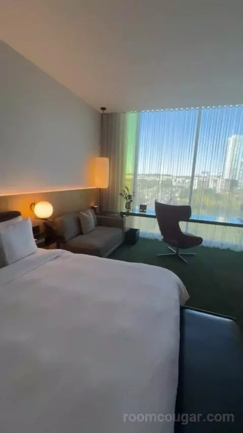 Suite with Lake View view picture #9