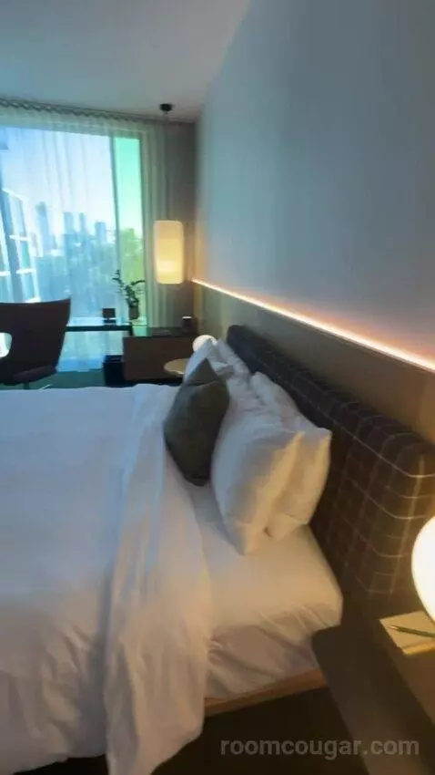 Park View King bed picture #5