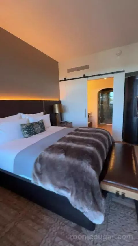 King Room with Balcony picture #17