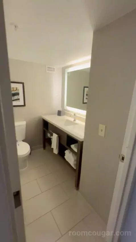 One King Bed Room bathroom picture #1