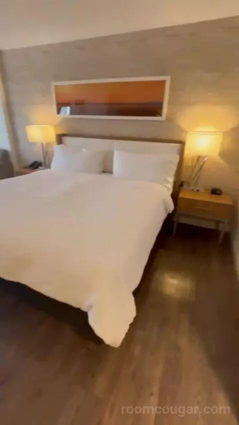 One King Bed Room bed picture #1