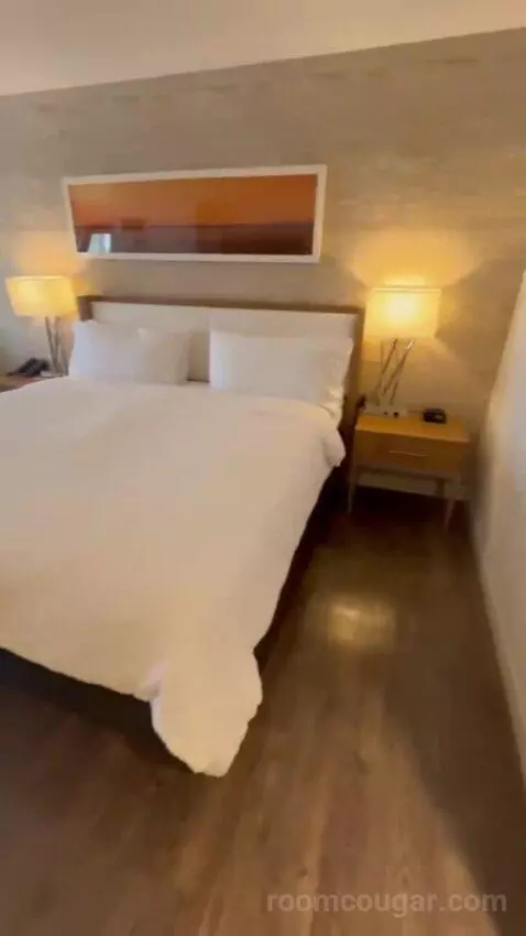 One King Bed Room bed picture #2