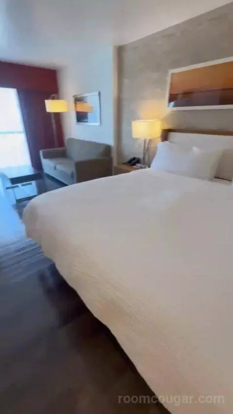 One King Bed Room bed picture #4