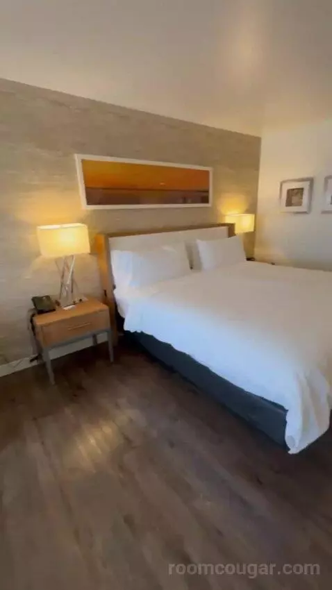 One King Bed Room bed picture #11