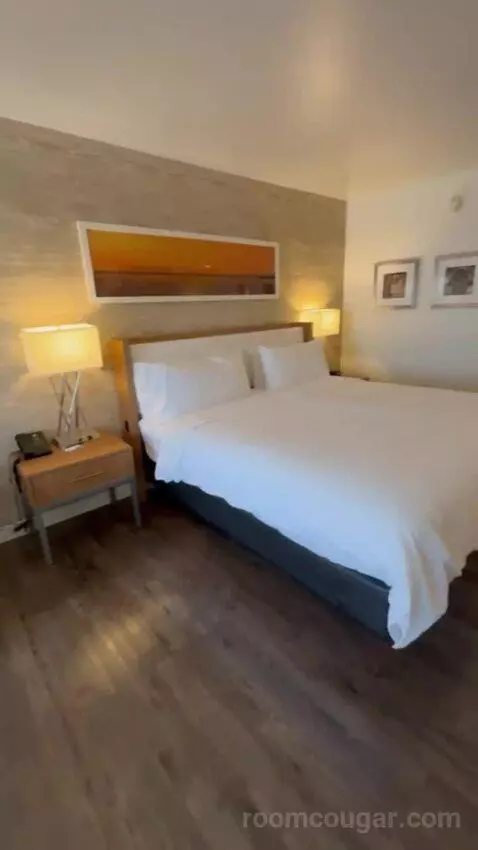 One King Bed Room bed picture #12