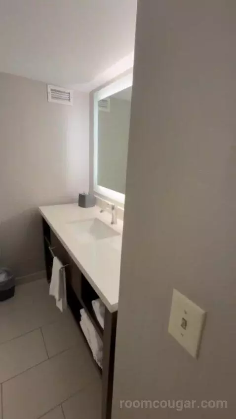 One King Bed Room bathroom picture #3