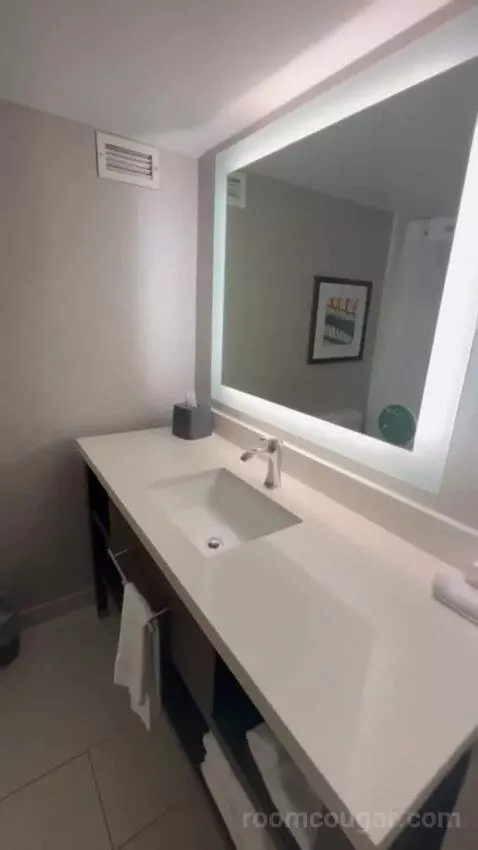 One King Bed Room bathroom picture #4