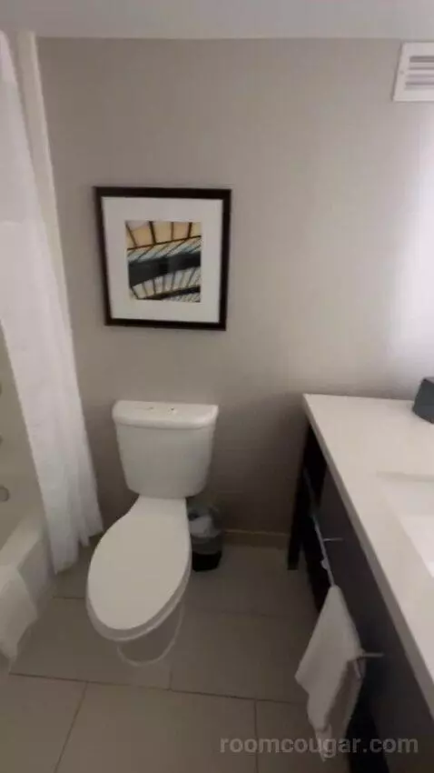One King Bed Room bathroom picture #5