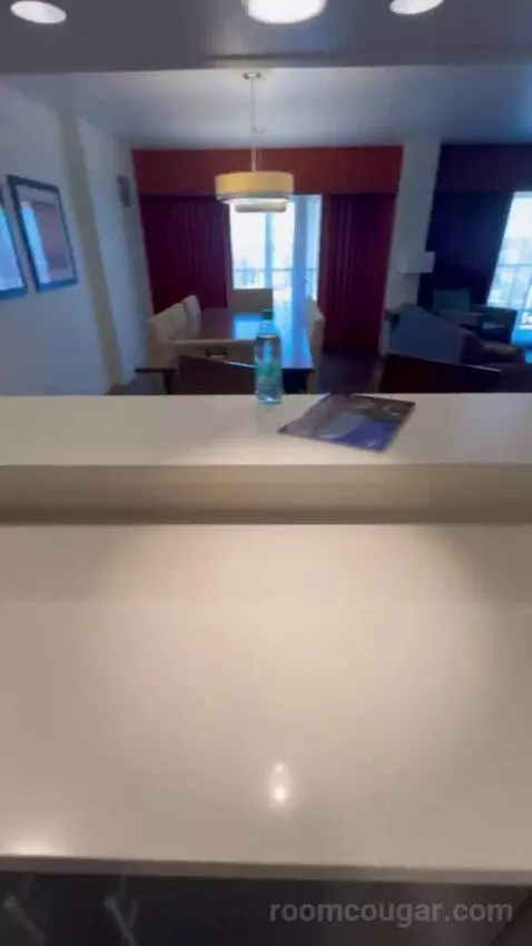 Presidential Suite picture #2
