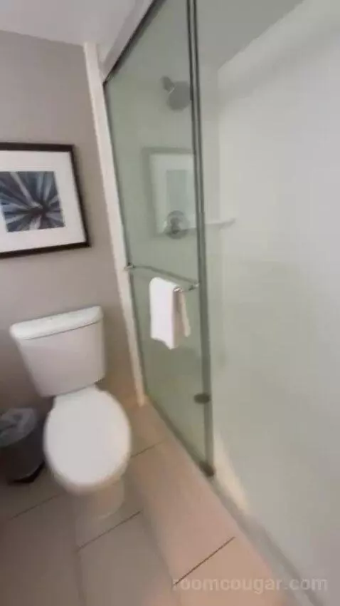 Presidential Suite bathroom picture #6