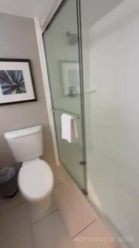 Presidential Suite picture #13