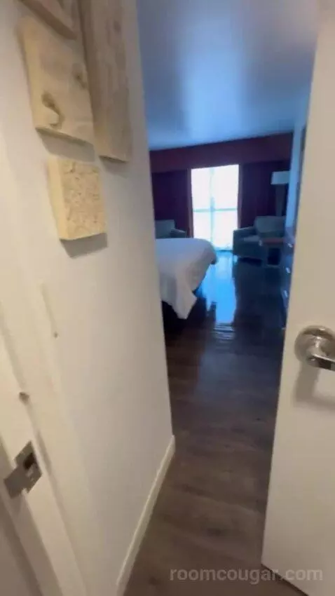 Presidential Suite picture #16
