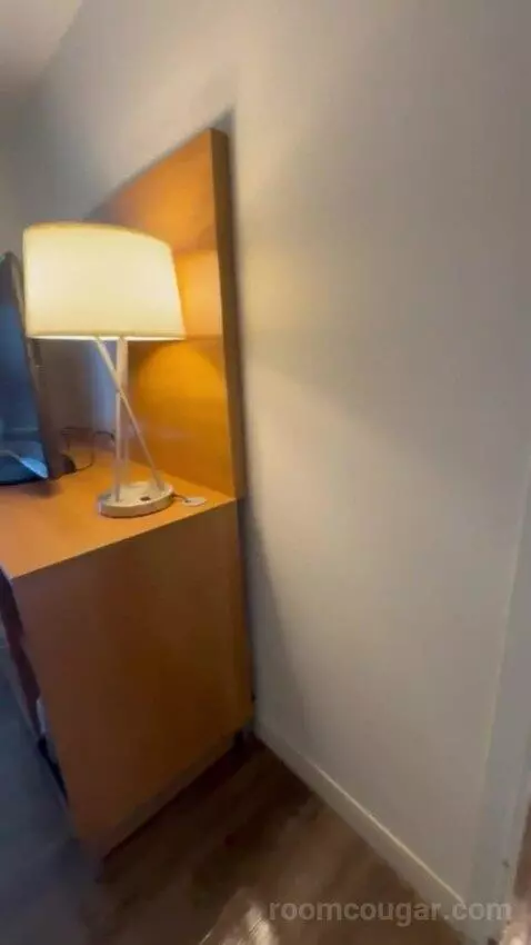 Presidential Suite picture #17