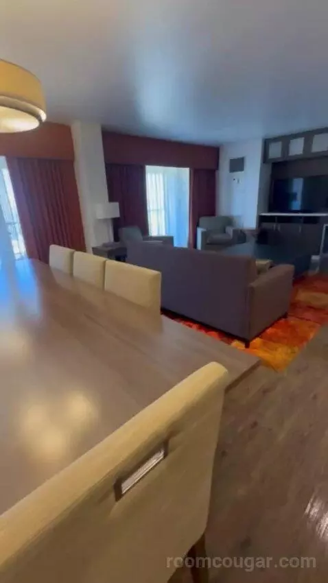 Presidential Suite picture #19