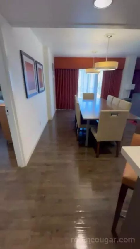 Presidential Suite picture #3