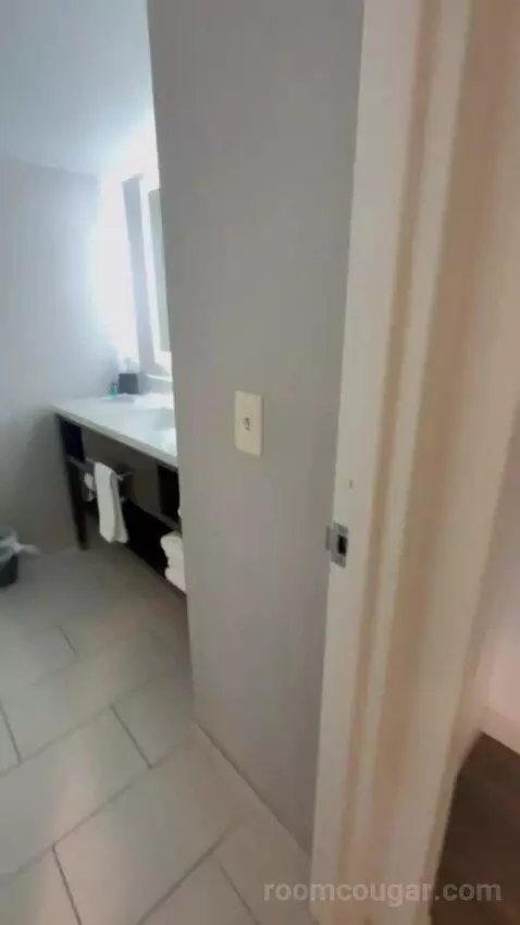 Presidential Suite picture #22