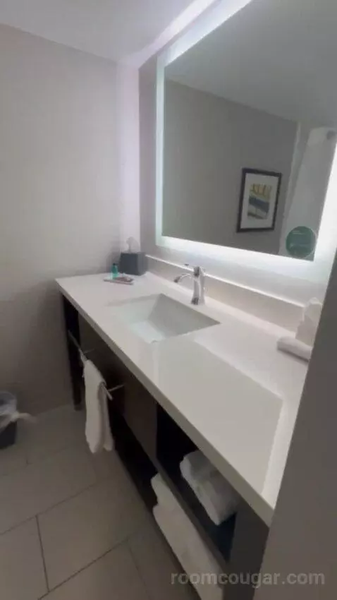 Presidential Suite bathroom picture #9