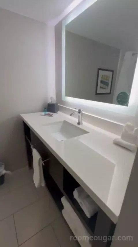 Presidential Suite bathroom picture #10
