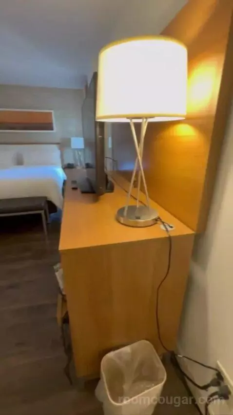 Conference Suite bed picture #1