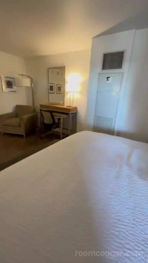 Conference Suite bed picture #8