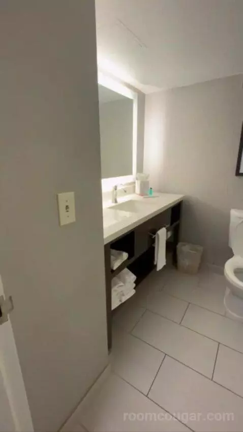 Conference Suite bathroom picture #2