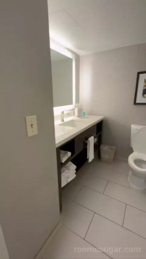 Conference Suite bathroom picture #3