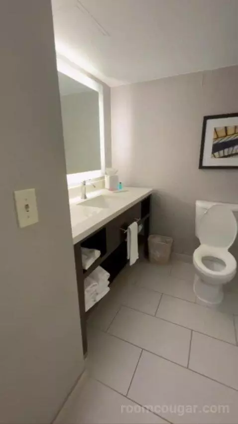 Conference Suite bathroom picture #4